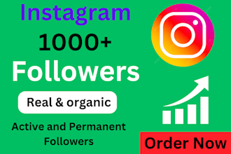 get 1000 organic instagram followers