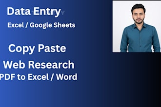 do fast and accurate data entry, copy paste, and excel work