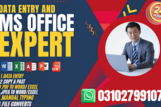 data entry and ms office expert