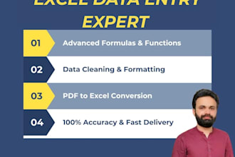 do expert excel data entry, data cleaning and financial formatting