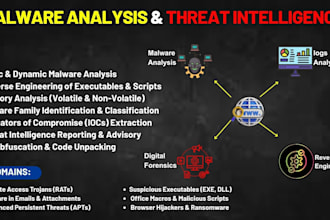 do reverse engineering, malware analysis, and log analysis