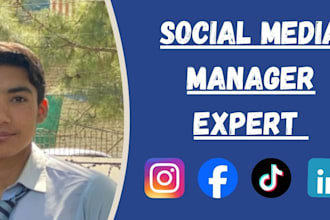 professional social media manager