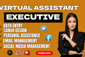 be virtual assistant social media manager data entry admin support va insta post