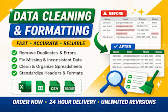 clean and organize your excel and CSV data