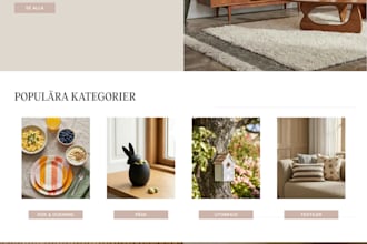 design a complete shopify drop shipping store or a custom shopify website