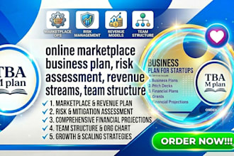 online marketplace business plan risk assessment revenue streams team structure