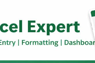 create professional excel spreadsheets, data entry
