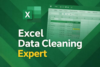 do excel data cleaning and formulas
