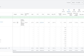 help you with google ads campaign setup and optimization