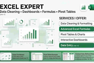 do detail oriented data cleaning and excel expert