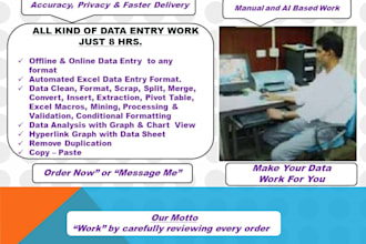 accurate data entry, clean, format, analyze and visualize
