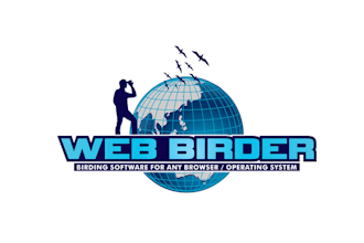 design iconic website consulting logo for web birder