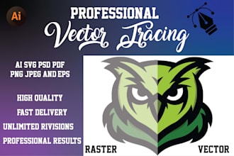 expert manual vector conversion, perfect, scalable results