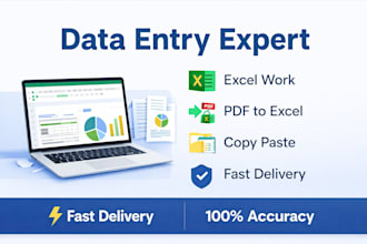 accurate data entry, excel work, copy paste, and typing