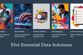 do excel data entry and mis reports