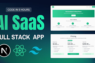 build website development, full stack saas web app developer, frontend developer