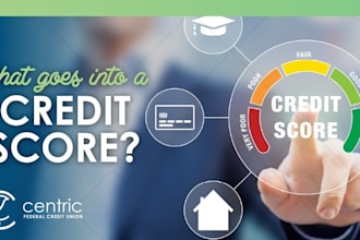 inquiry removal, credit repair, chargeoff,late payment, collection, student loan