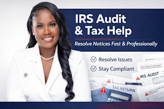 handle irs audit response and tax notice professionally
