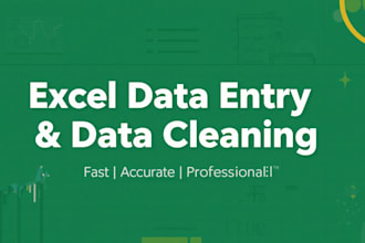 do fast and accurate data entry, excel data cleaning, and formatting