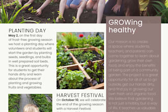 design a professional newsletter