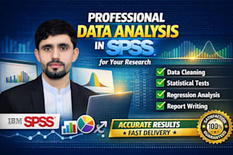 do data analysis and clarification on spss excel