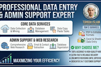 do professional data entry and copy paste tasks