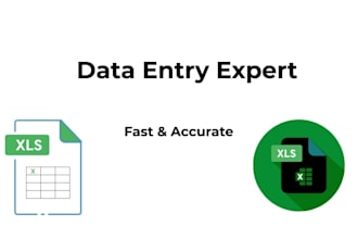 manage data entry and spreadsheets professionally