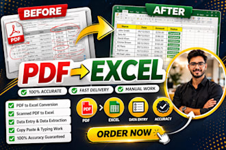 pdf files convert to excel, word and data entry