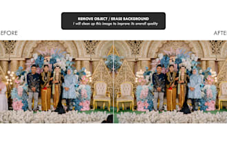 professional image cleanup ,background removal coloring etc