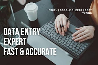 do fast and accurate data entry in excel or google sheets