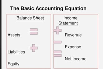 manage daily accounts in tally, excel or busy