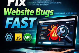 fix your website bugs, errors or issues