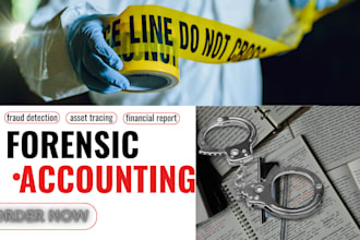 forensic accounting, fraud investigation, financial report as CPA, us accountant