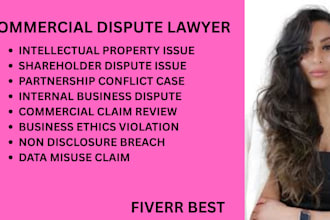 handle fraud complaints, trade secret matters, and business dispute cases