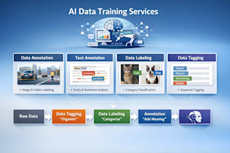 provide ai annotation and data labeling