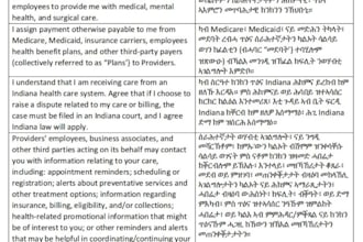 translate your content from amharic or tigrinya to english