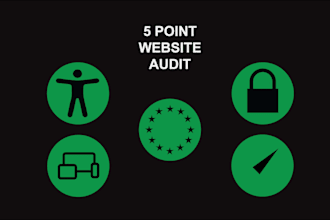 conduct a five point website audit