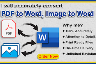 accurately convert PDF to word, image to word