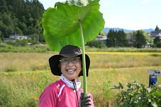 be your japanese partner and cultural guide