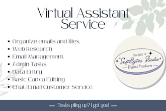 be your virtual assistant for any clerical and admin task