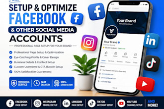 professional social media setup and integration