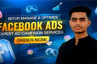setup and manage facebook meta ads campaign