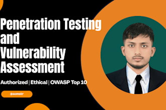 provide penetration testing and website security assessment service