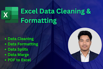 do excel data entry, clean, split, marge and formatting