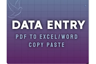 do professional data entry