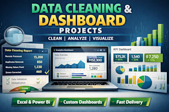 provide professional data related works