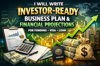 write investor ready business plan, financial projections for funding,visa, loan