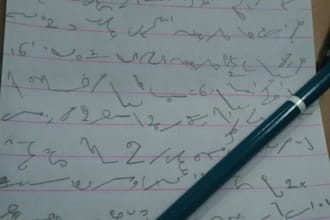 do professional shorthand and data entry work