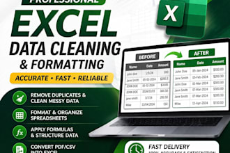 professionally clean, sort and format excel spreadsheets