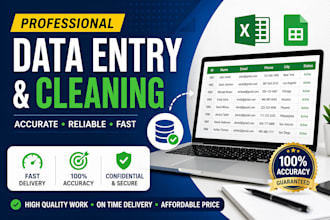 do data entry and data cleaning